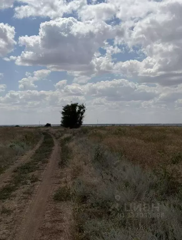 Участок в Волгоградская область, Волгоград ул. Белая (6.0 сот.) - Фото 2