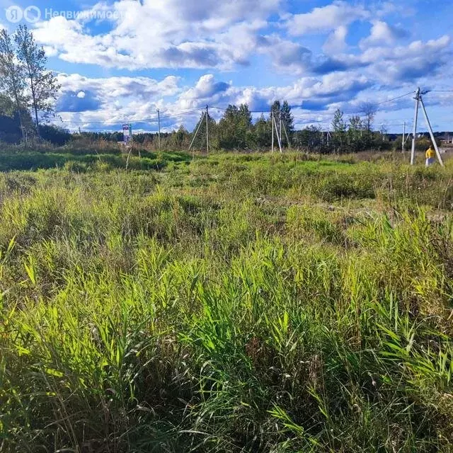 Участок в Пениковское сельское поселение, КП Ягодное-2, Гранатовая ... - Фото 2