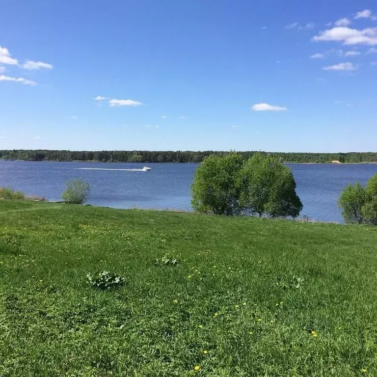 Участок в Тверская область, Конаковский муниципальный округ, с. ... - Фото 0