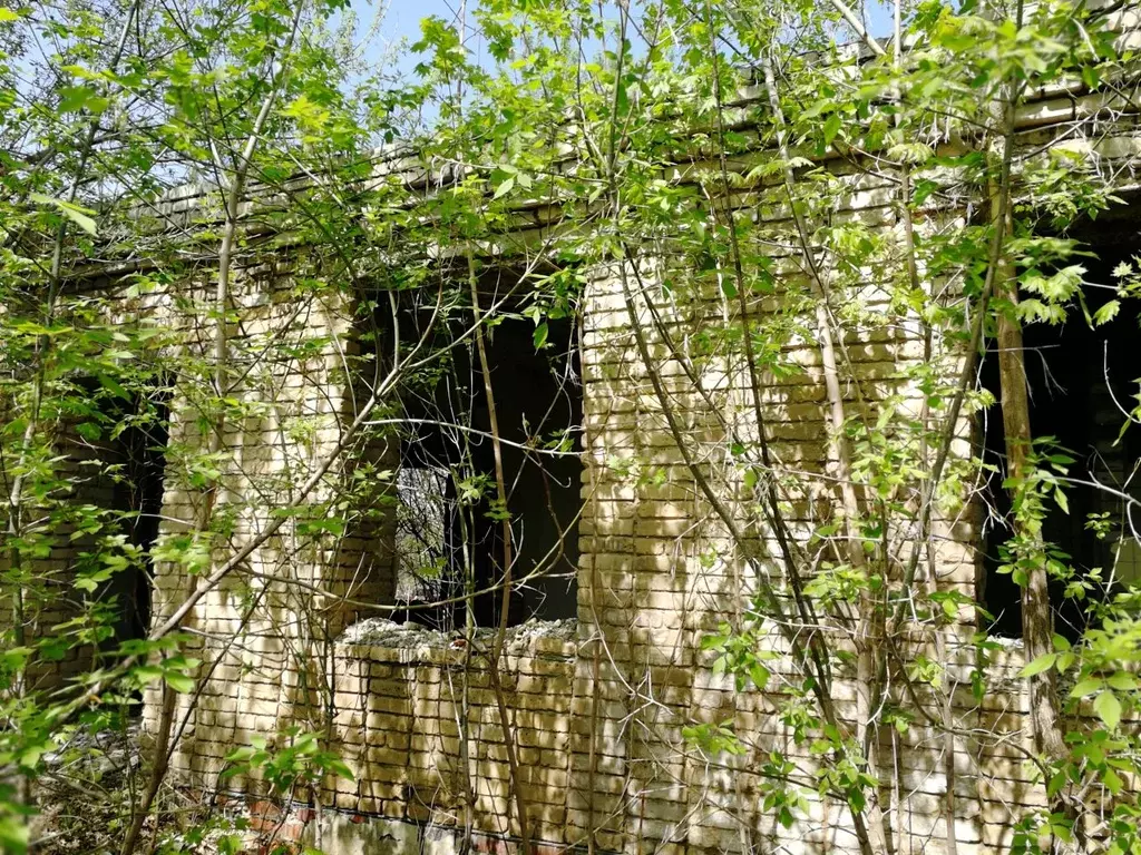 Помещение свободного назначения в Тамбовская область, Умет рп ул. ... - Фото 2