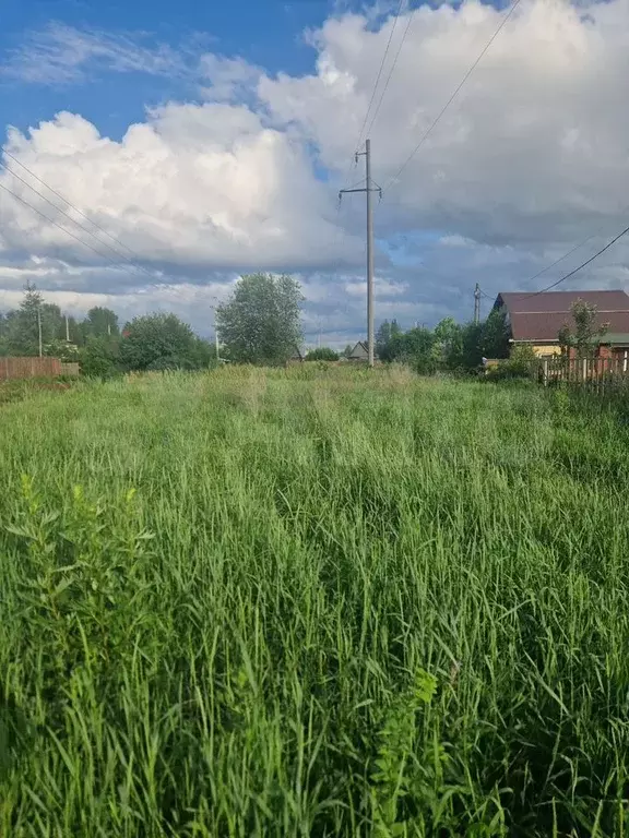 Участок 6,5 сот. (ИЖС) - Фото 1
