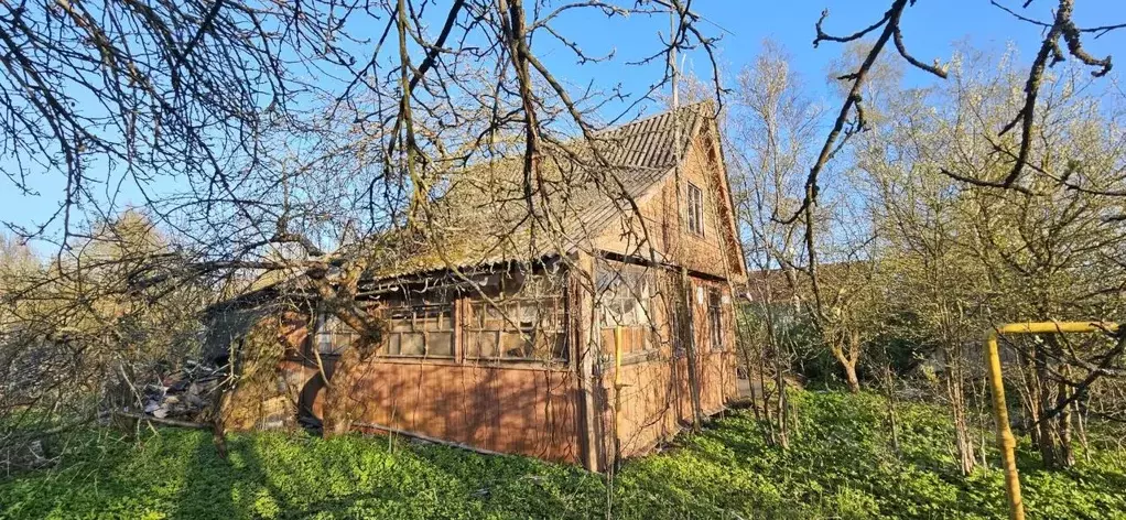 Участок в Санкт-Петербург пос. Саперный, Мгинская ул., 15 (10.48 сот.) - Фото 1