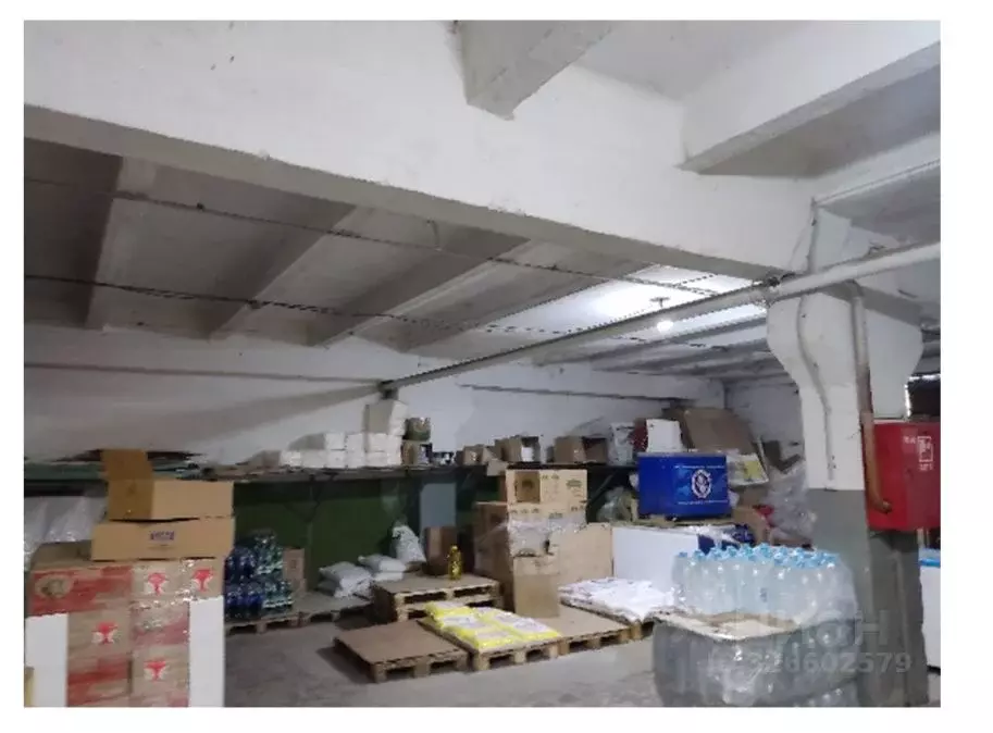 Помещение свободного назначения в Крым, Алушта ул. Виноградная, 32 ... - Фото 2