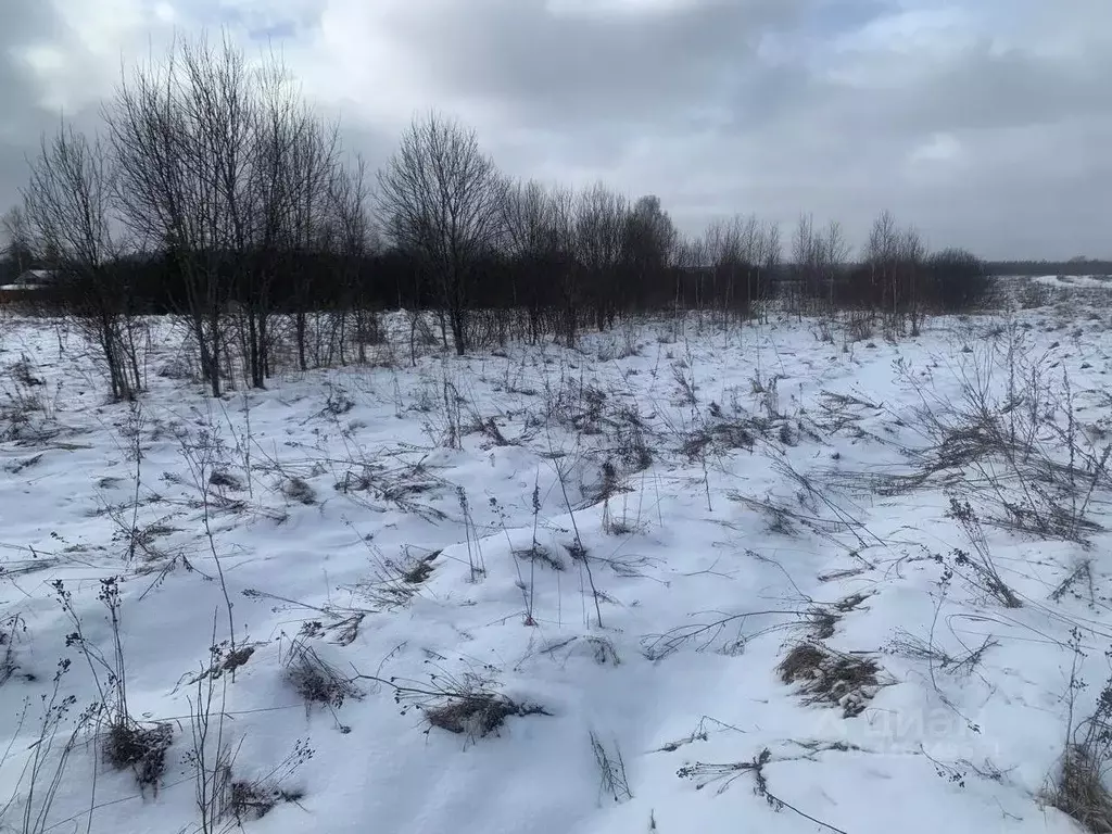 Участок в Московская область, Истра муниципальный округ, д. Чаново  ... - Фото 0