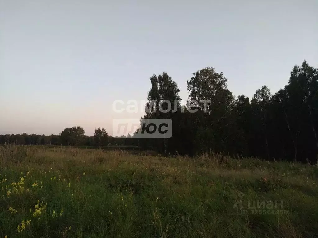 Участок в Челябинская область, Сосновский муниципальный округ, д. ... - Фото 2