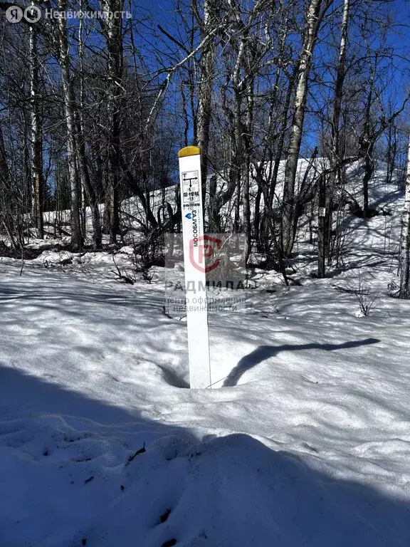 Дом в деревня Новинки, 2 (255.7 м) - Фото 2