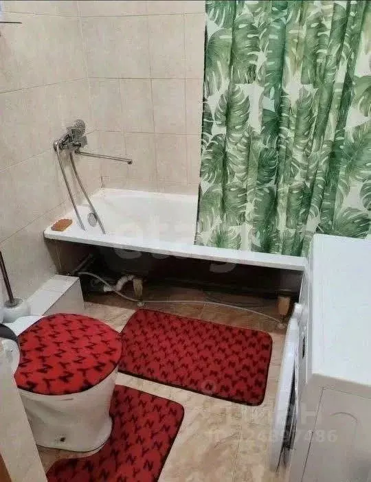 Студия Амурская область, Благовещенский район, с. Чигири Восточная ... - Фото 1