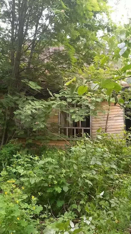 Участок 7 сот. (СНТ, ДНП) - Фото 0