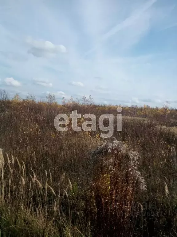 Участок в Калужская область, Малоярославецкий район, Юбилейный с/пос, ... - Фото 0