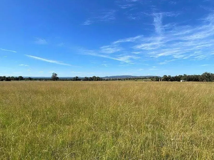 Участок в Московская область, Рузский муниципальный округ, д. Бельково ... - Фото 1