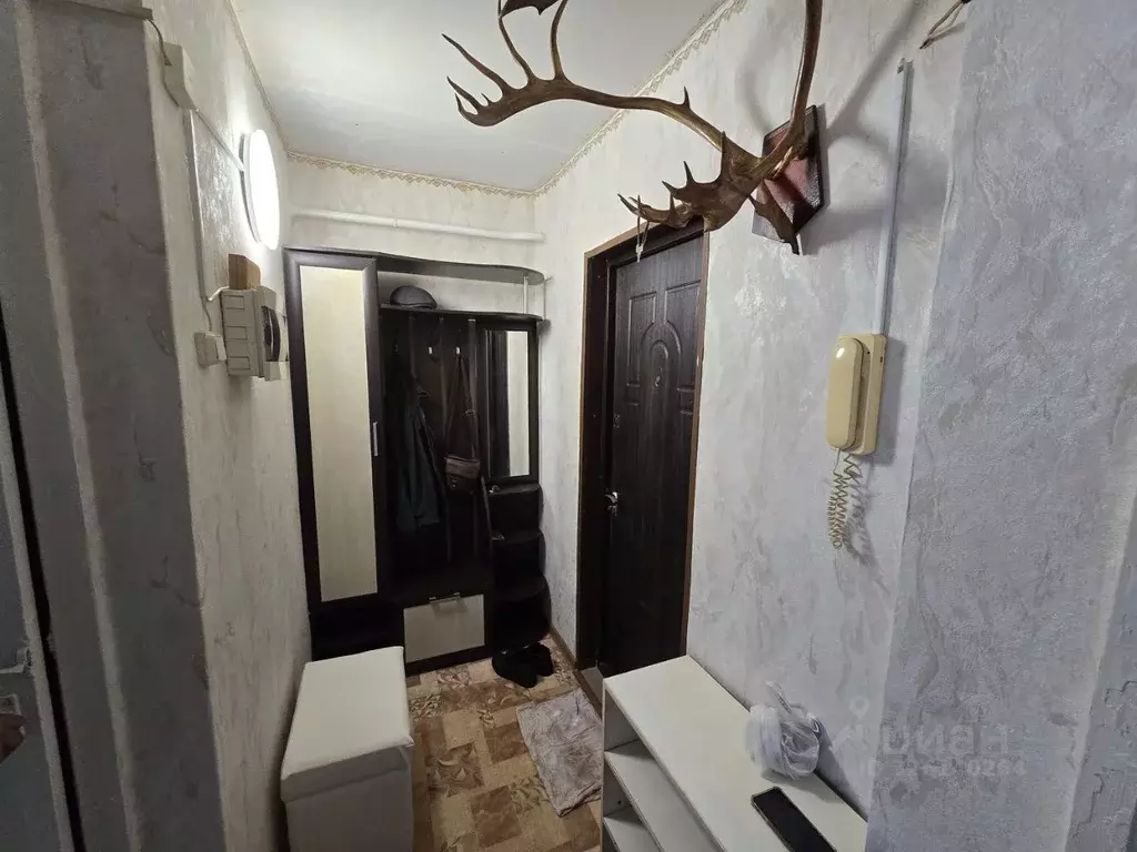 1-к кв. Тульская область, Новомосковск Трудовой проезд, 8А (30.0 м) - Фото 1