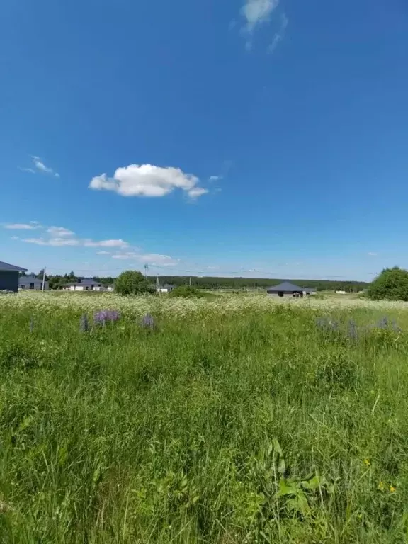 Участок в Тульская область, Ясногорский район, Ревякинское с/пос, с. ... - Фото 1