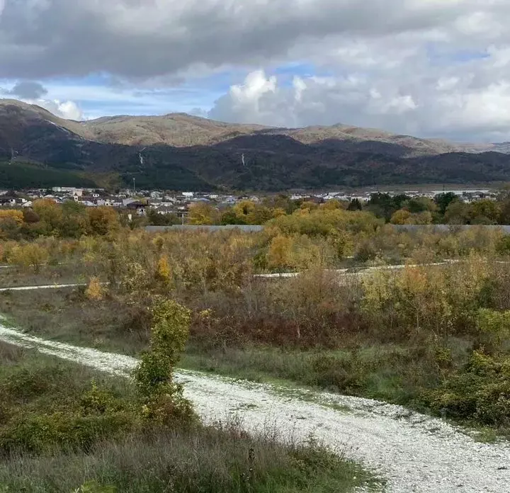 Участок в Краснодарский край, Геленджик городской округ, с. Кабардинка ... - Фото 1