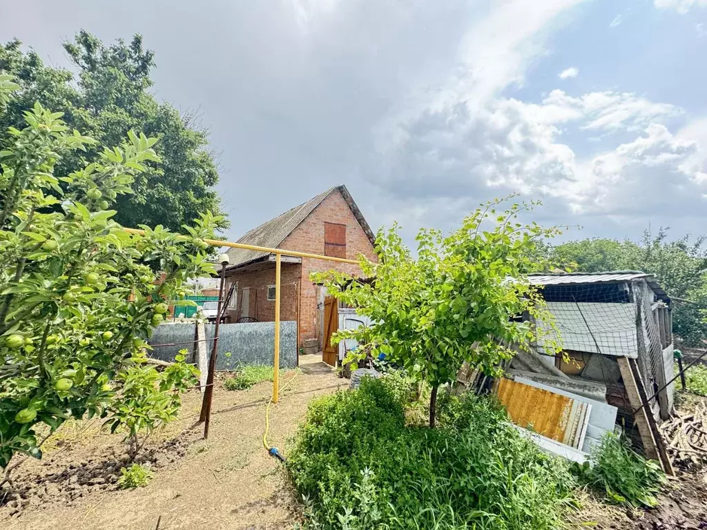 Дом в Ростовская область, Неклиновский район, Поляковское с/пос, ... - Фото 2