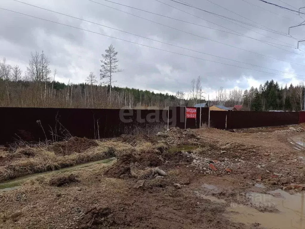 Участок в Московская область, Одинцовский городской округ, 30 лет ... - Фото 1