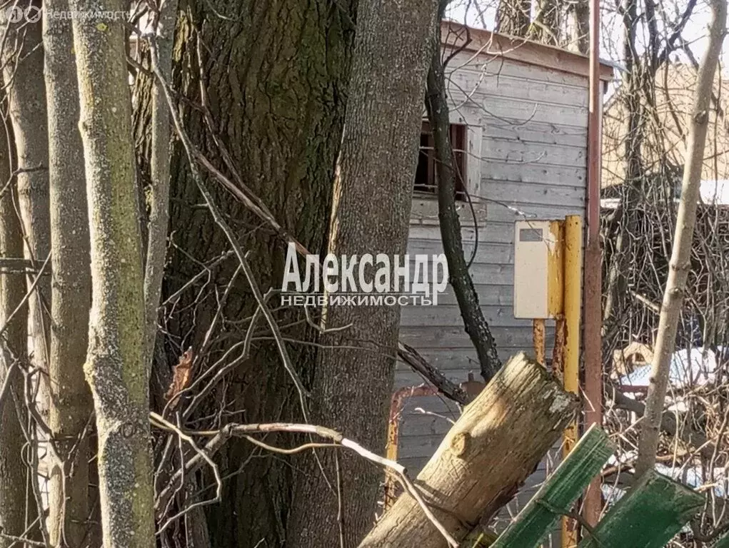 Участок в посёлок Александровская, Волхонское шоссе, 55 (16.67 м) - Фото 1