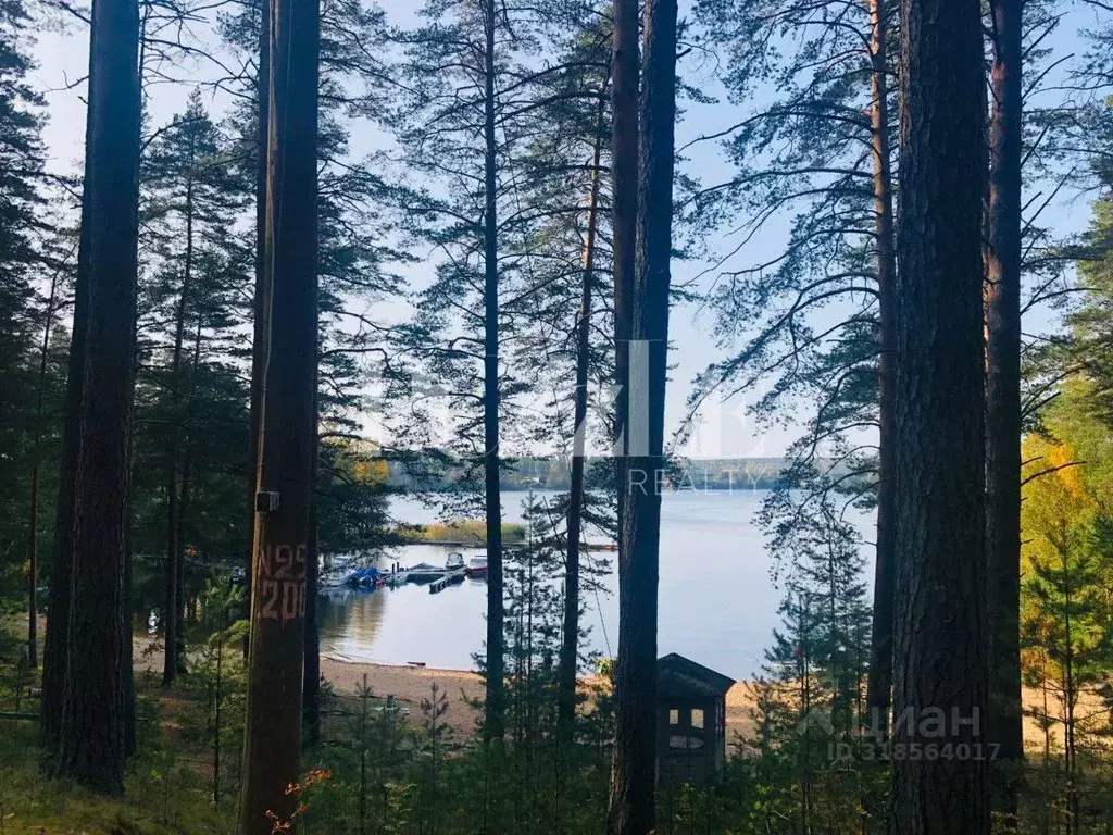 Участок в Ленинградская область, Приозерский район, Петровское с/пос, ... - Фото 1