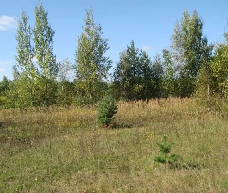 участок в новгородская область, старорусский район, великосельское . - Фото 0