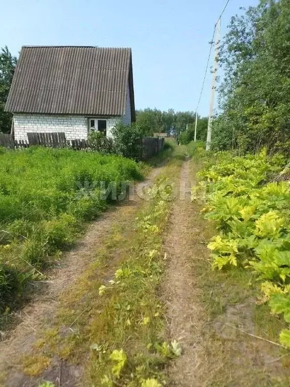 Участок в Брянская область, Брянск Розовая ул. (6.0 сот.) - Фото 2