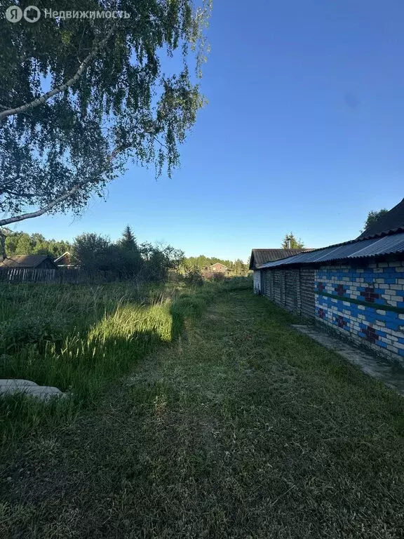 Участок в Нижегородская область, муниципальный округ Бор, село ... - Фото 1