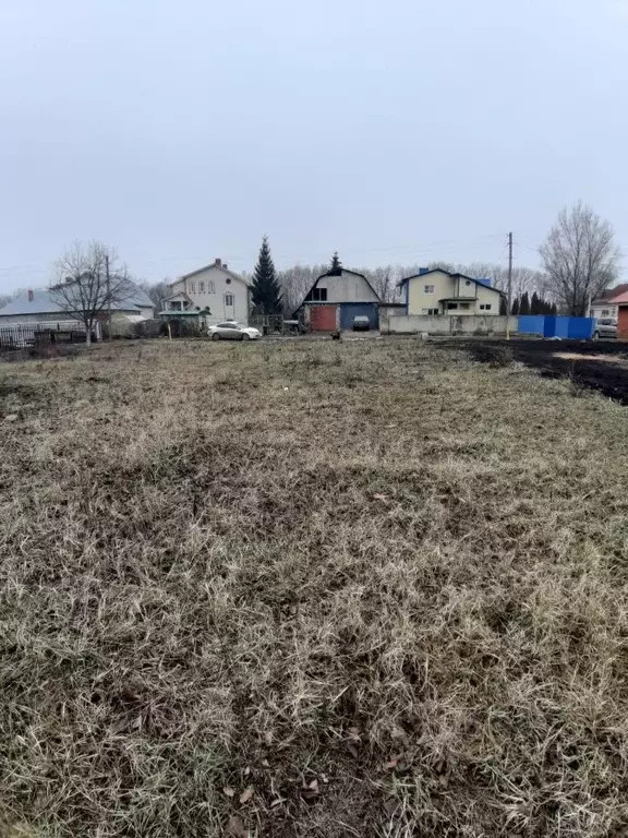 Участок в Тамбовская область, Тамбов городской округ, с. Бокино ул. ... - Фото 1