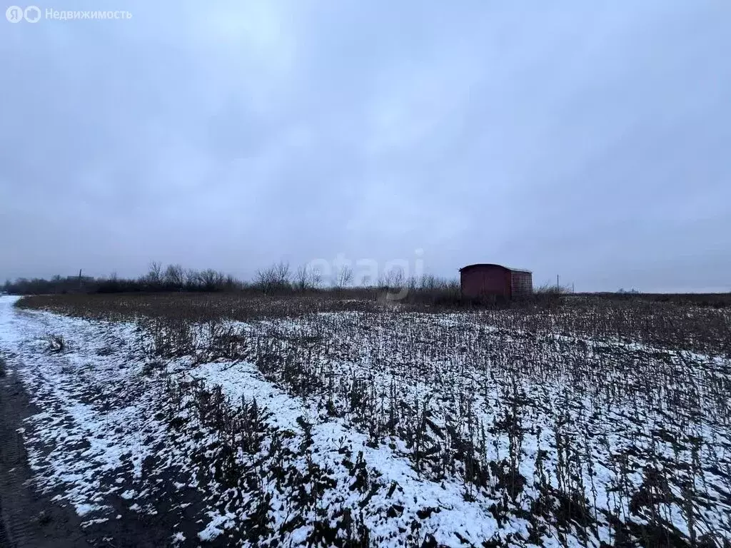 Участок в село Устье, Гражданская улица (20 м) - Фото 1