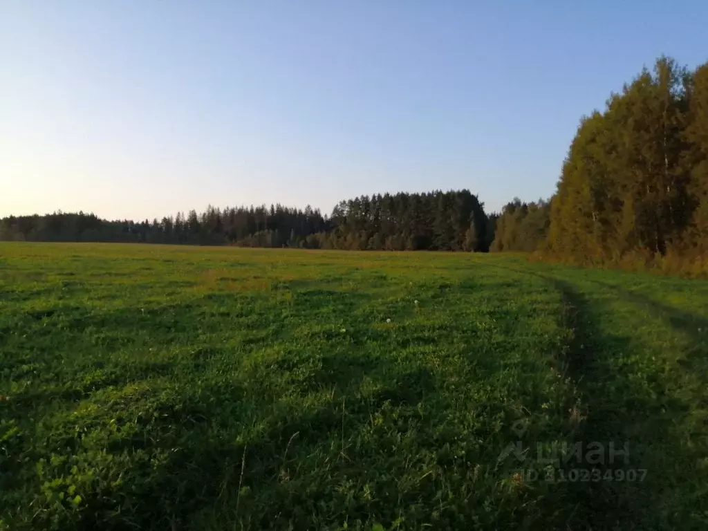 Участок в Московская область, Можайский городской округ, д. Новый Путь ... - Фото 0