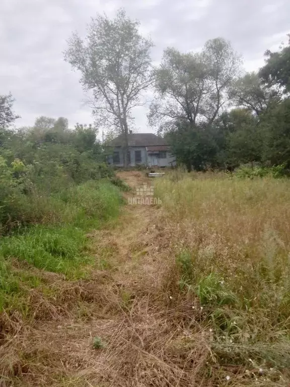 Дом в Воронежская область, Нижнетуровское с/пос, с. Нижнее Турово ... - Фото 1