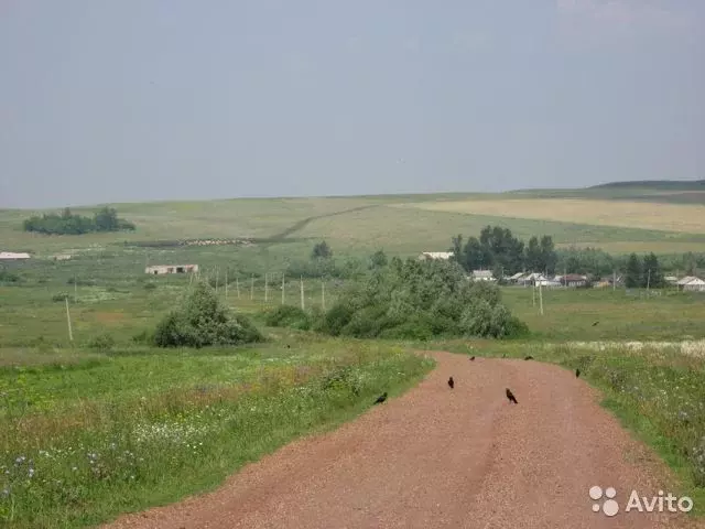 Купить Дом В Деревне Басурман Мелеузовский Район