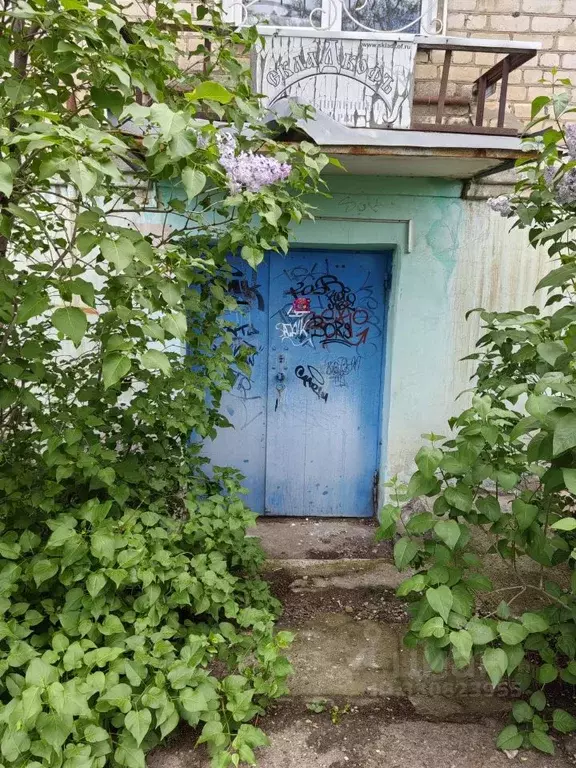 Помещение свободного назначения в Волгоградская область, Камышин ул. ... - Фото 1