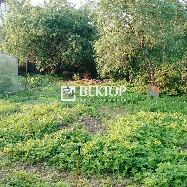 Участок в Кострома, Малышковская улица, 40 (8 м) - Фото 0