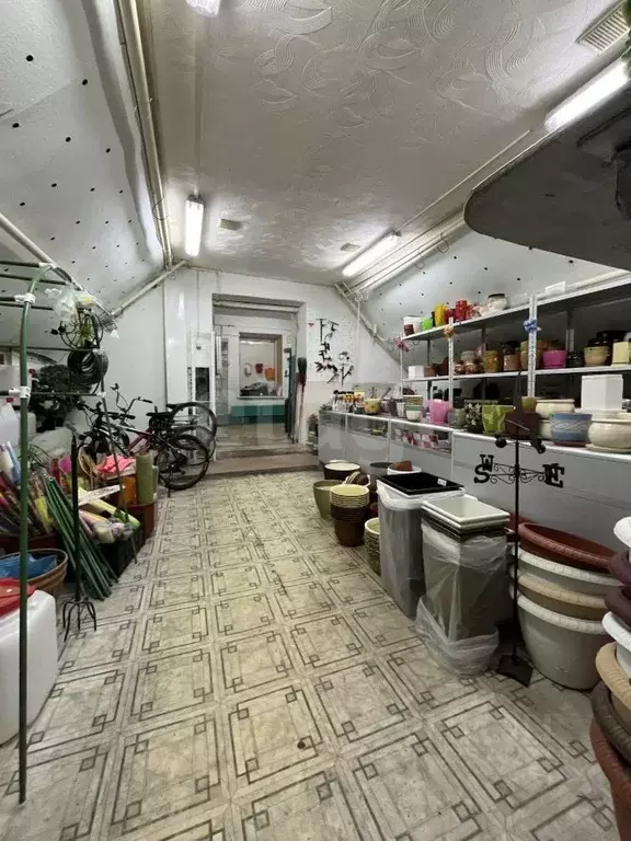 Помещение свободного назначения в Коми, Усинск Возейская ул., 9/2А ... - Фото 2