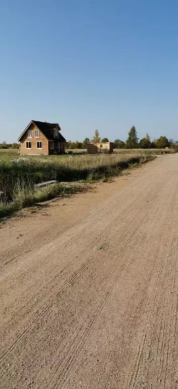 Участок в Новгородская область, Новгородский район, Борковское с/пос, ... - Фото 1