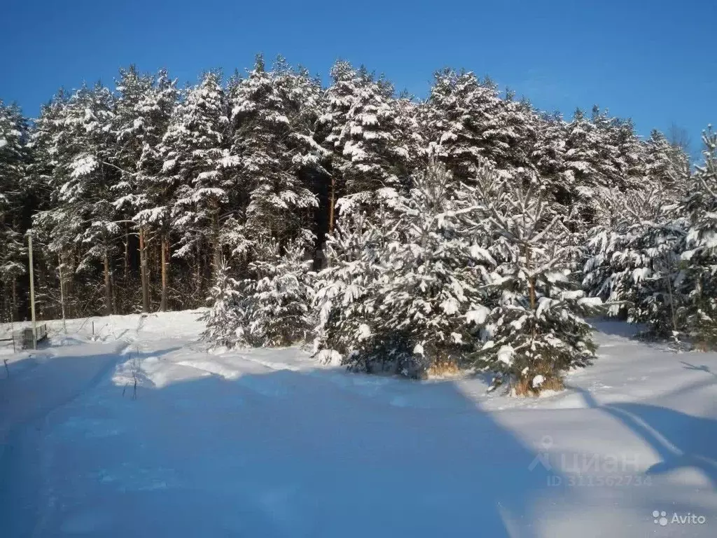 Участок в Татарстан, Лаишевский район, с. Пелево  (6.0 сот.) - Фото 0