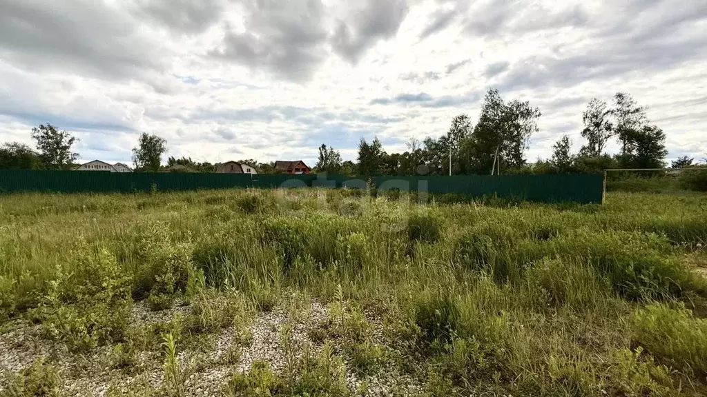 Участок в Владимирская область, Покров городской округ, пос. ... - Фото 2