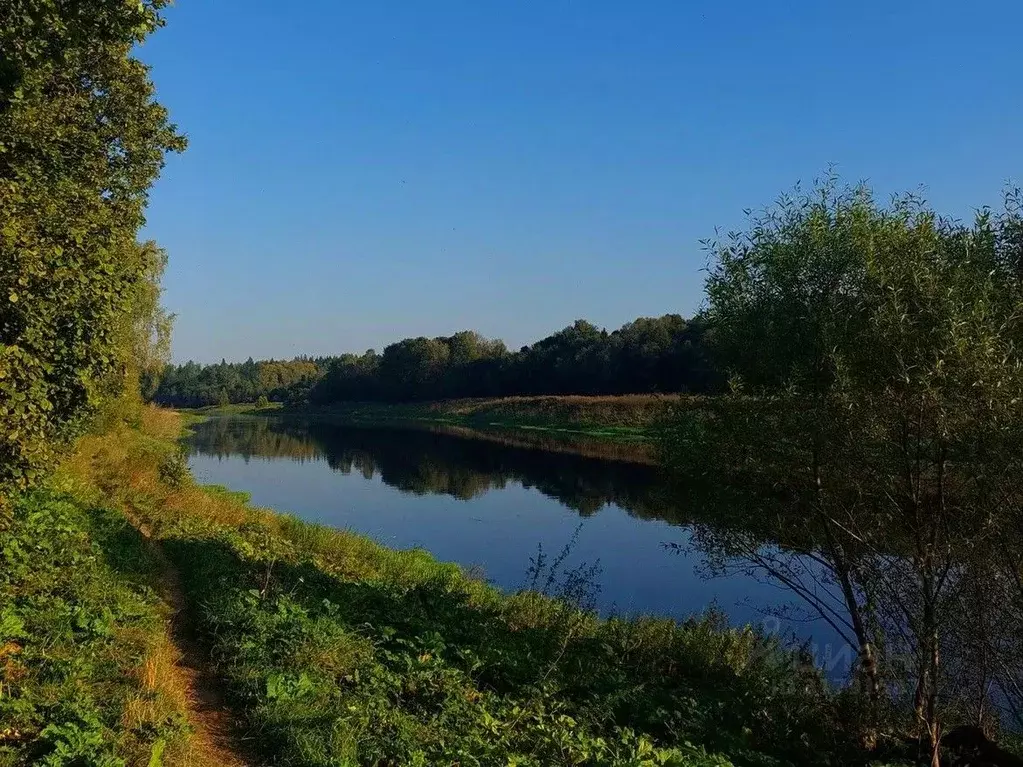 Участок в Московская область, Наро-Фоминский городской округ, д. ... - Фото 1