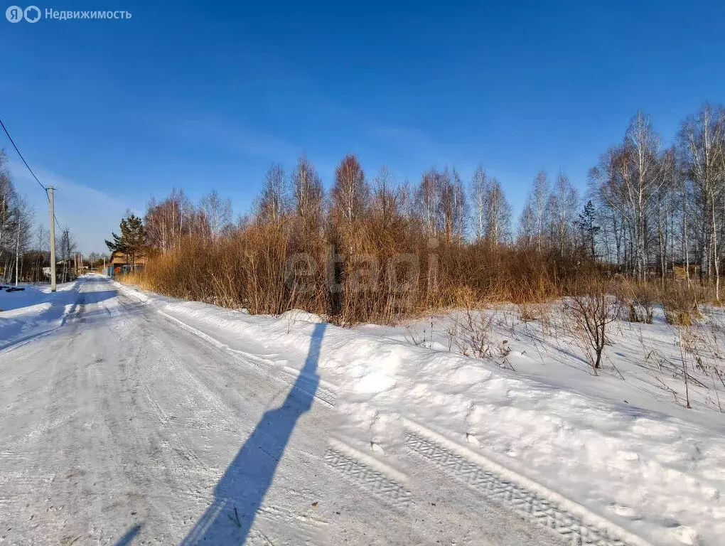 Участок в Тюмень, садовое товарищество Россиянка, Вишнёвая улица (10 ... - Фото 0