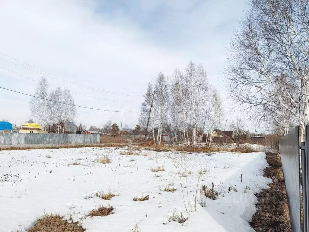 Участок в Тюменская область, Нижнетавдинский муниципальный округ, ... - Фото 1