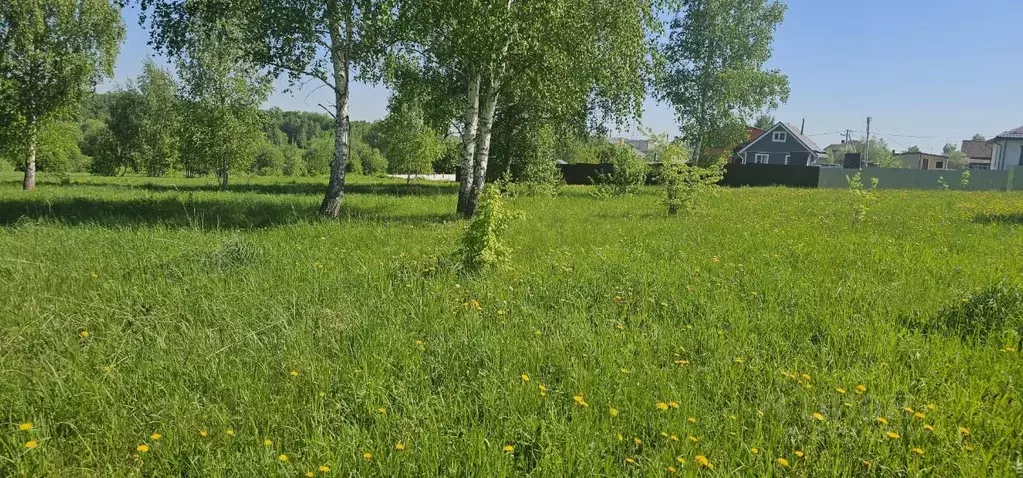 Участок в Московская область, Луховицы Луговая ул., 130 (11.45 сот.) - Фото 2