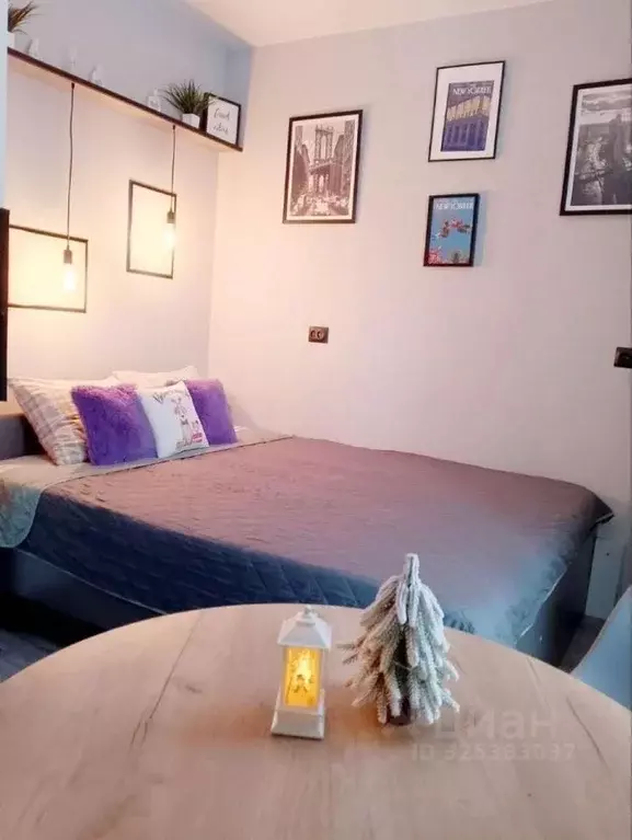 1-к кв. Челябинская область, Челябинск ул. Блюхера, 123Е (26.0 м) - Фото 2