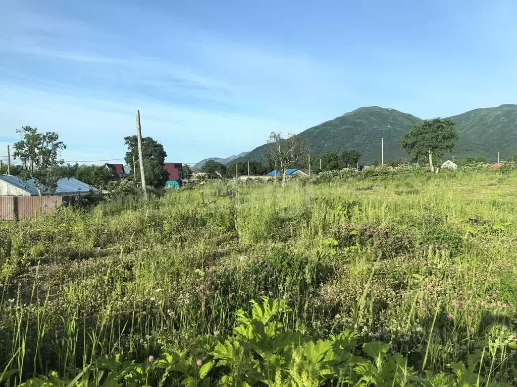 Участок в Камчатский край, Елизовский муниципальный округ, пос. ... - Фото 2