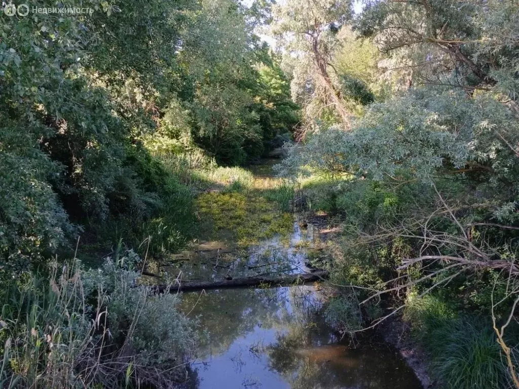 Участок в аул Шенджий, улица Пушкина, 22 (732 м) - Фото 1