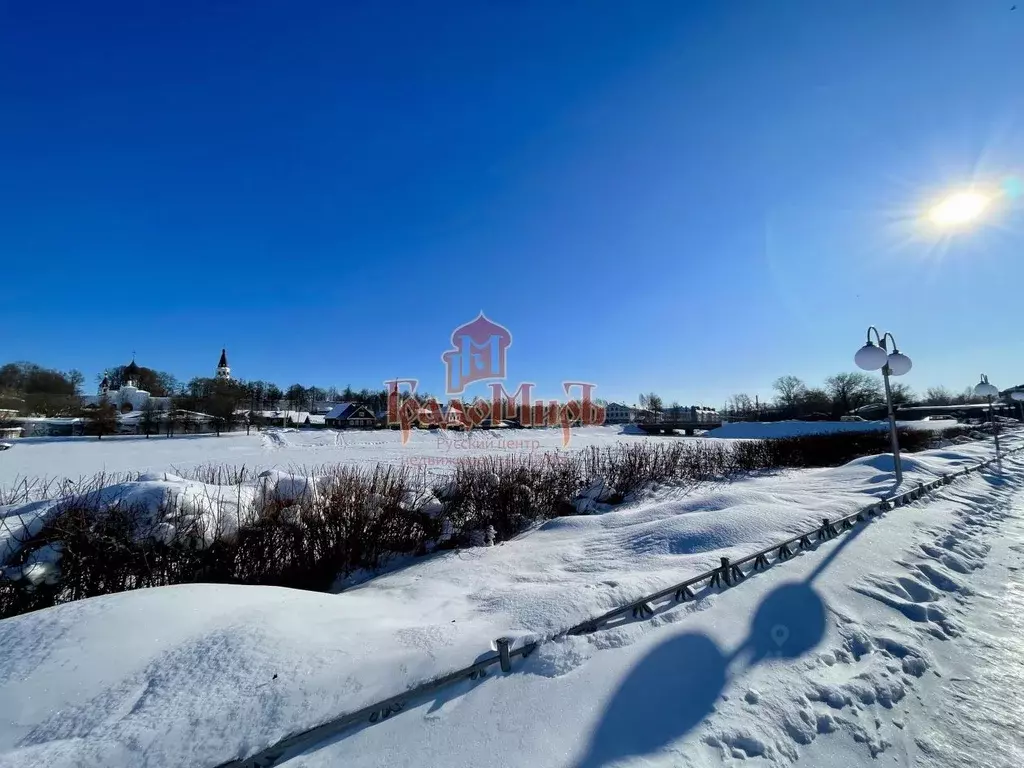 Участок в Владимирская область, Александров ул. Красной Молодежи, 15 ... - Фото 1