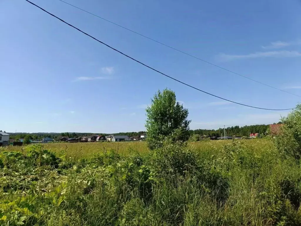 Участок в Тверская область, Калининский муниципальный округ, д. ... - Фото 1