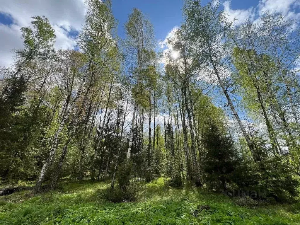 Участок в Владимирская область, Ковровский район, Доброград ... - Фото 1