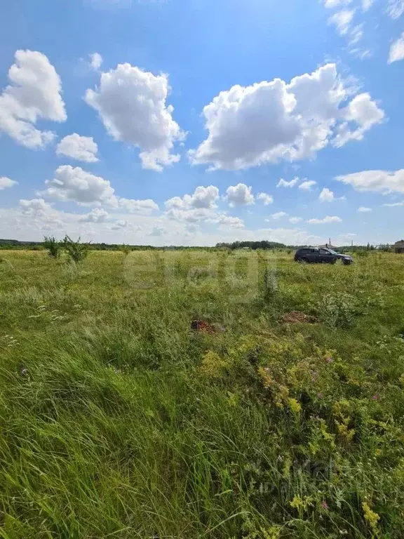 Участок в Воронежская область, Хохольский район, с. Гремячье ... - Фото 0