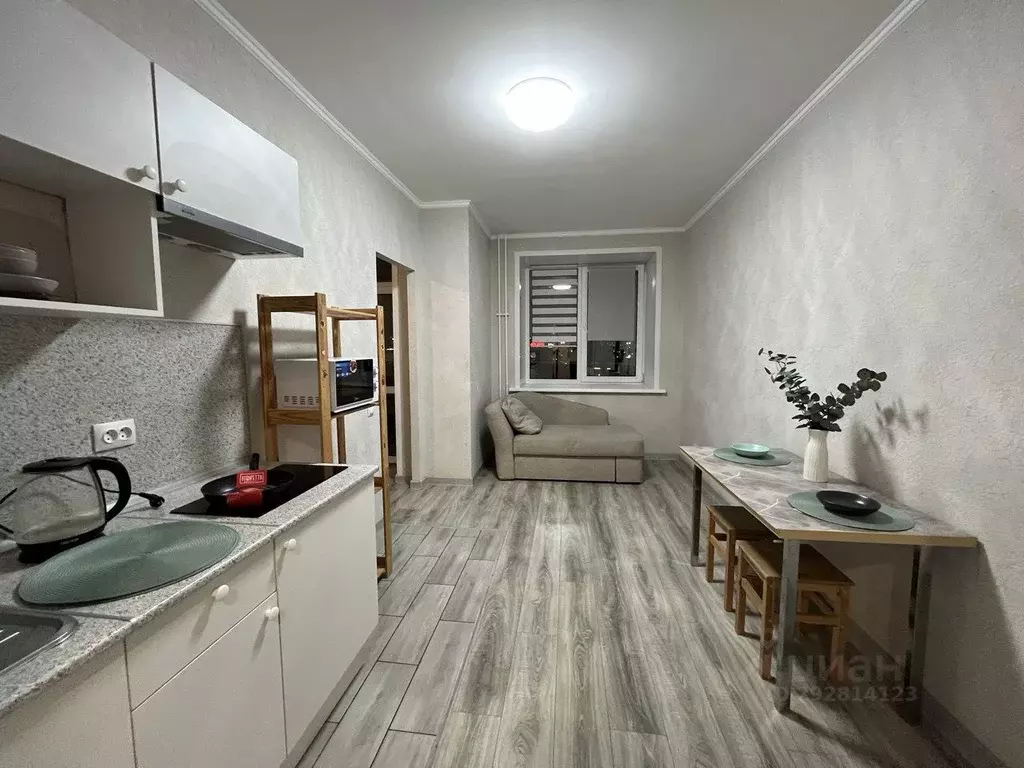 1-к кв. Алтайский край, Барнаул ул. Чехова, 20 (28.7 м) - Фото 1