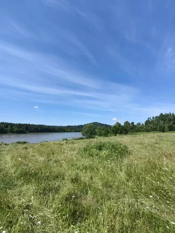 Участок в Алтай, Турочакский район, с. Удаловка  (30.0 сот.) - Фото 2