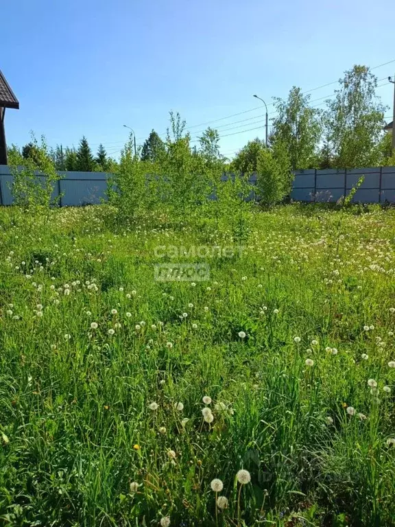 Участок в Москва Марушкинское поселение, д. Акиньшино, Акиньшино кп, 7 ... - Фото 1