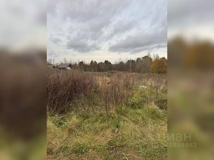 Участок в Ленинградская область, Волховский район, Усадищенское с/пос, ... - Фото 2